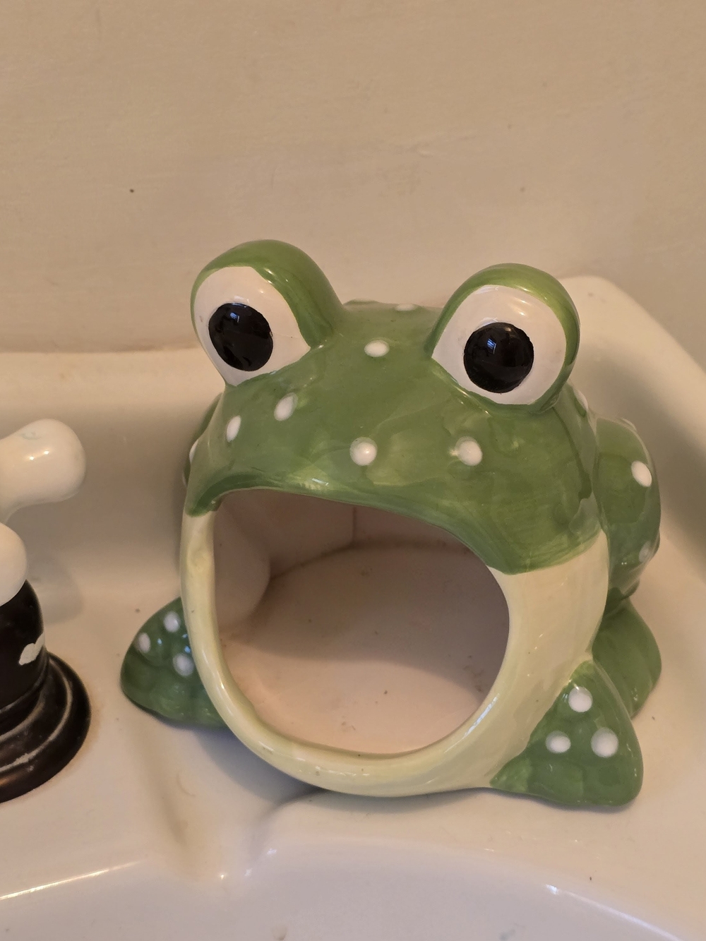 ASO Gilmore Girls, Lorelai's Ceramic Green Frog Sponge Holder